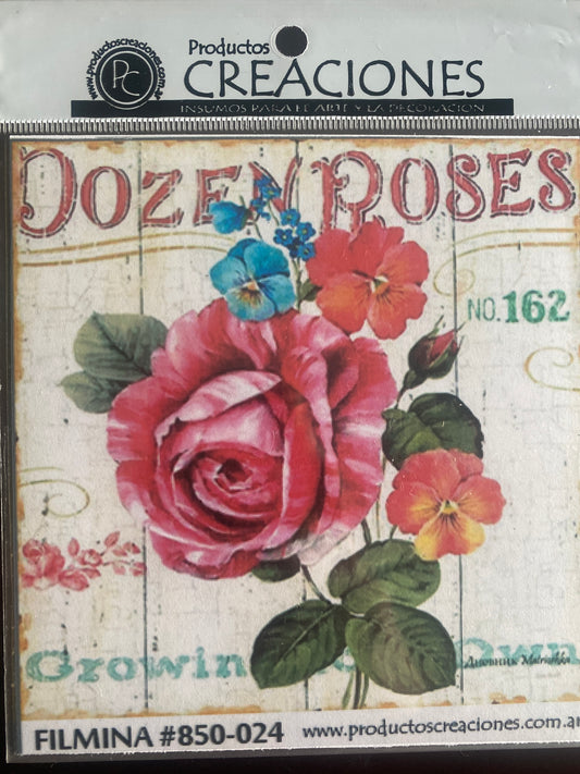 LAMINAS FILMINA O CRISTAL, n 24 medidas 14 x 14