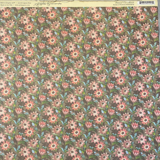 Lamina Graphic 45 Doble 30x30cm Scrapbooking USA - Botanical Tea collection