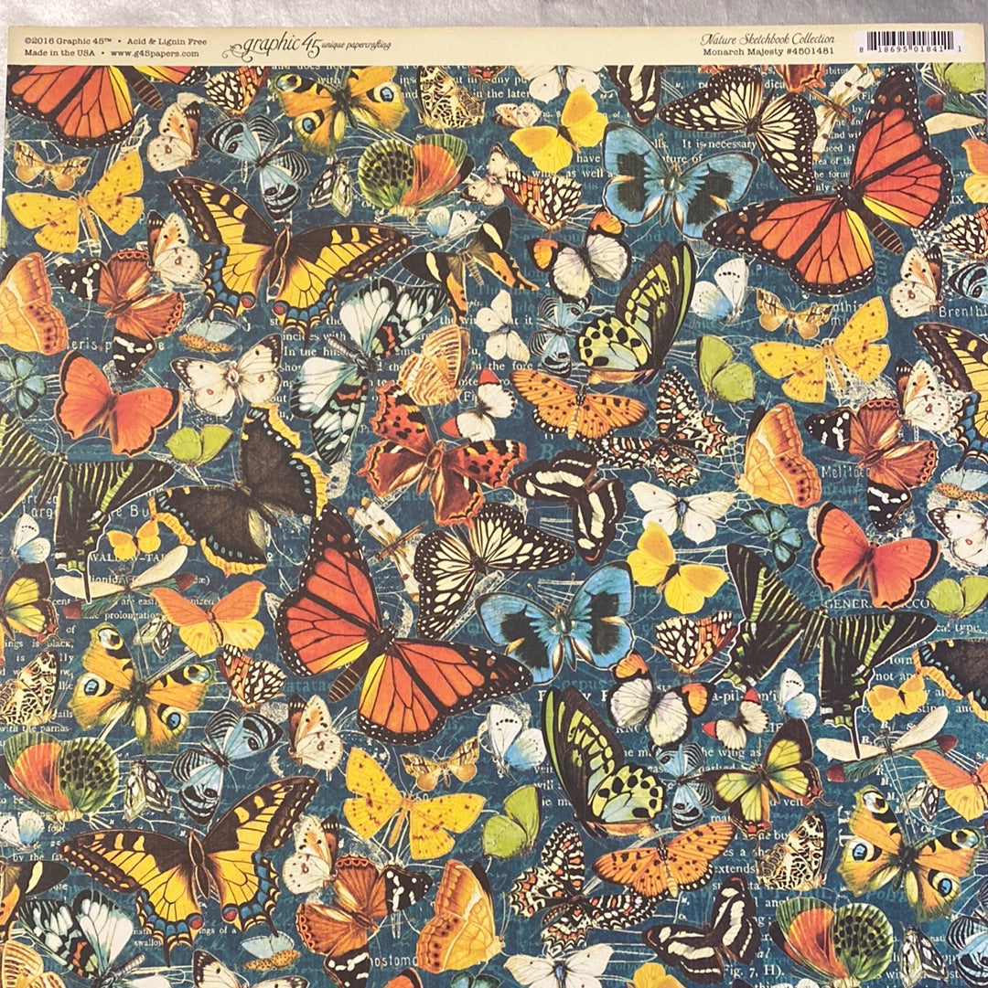 Lámina Graphic 45 Doble 30x30cm Scrapbooking USA - Nature Sketchbook