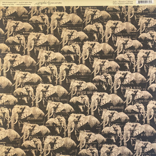 Lámina Graphic 45 Doble 30x30cm Scrapbooking USA - Safari Adventure Collection