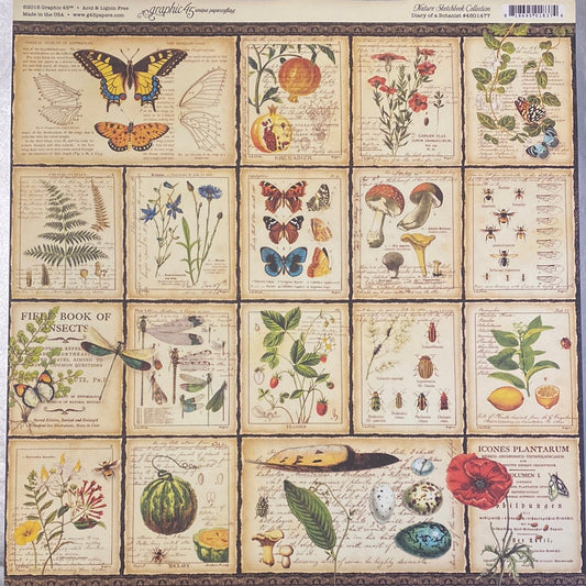 Lámina Graphic 45 Doble 30x30cm Scrapbooking USA - Nature Sketchbook