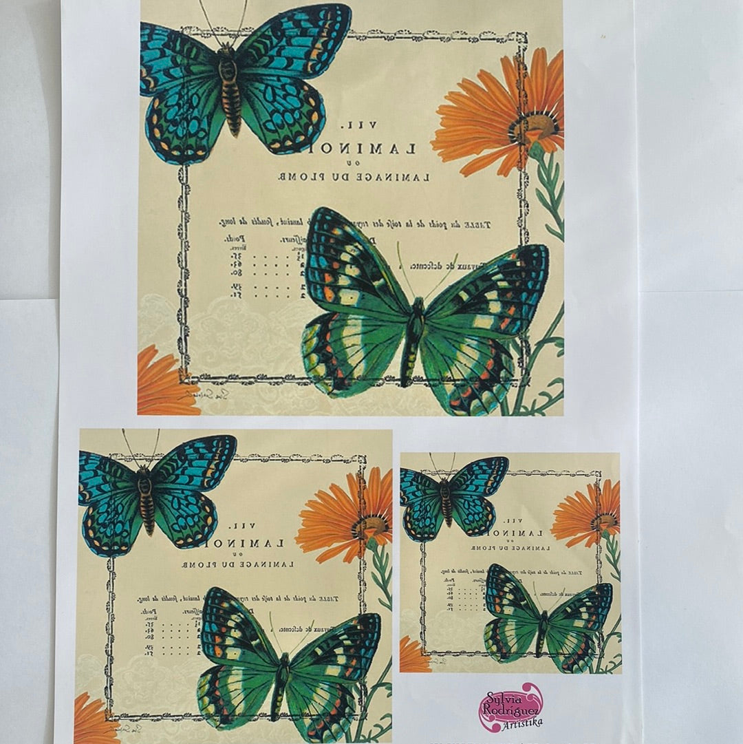 LAMINAS PARA TRANSFERENCIA (20x25) MARIPOSA