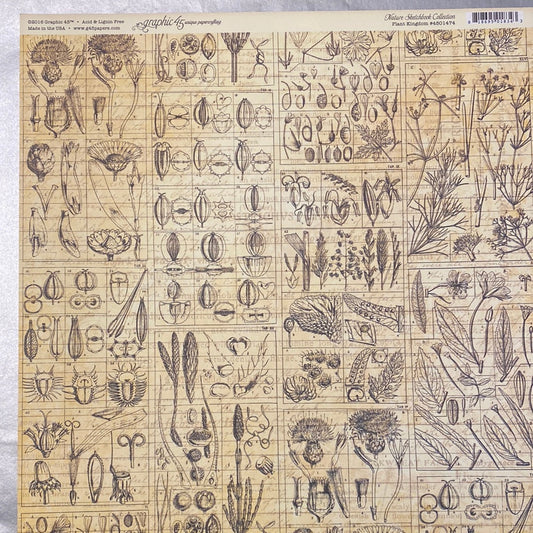 Lámina Graphic 45 Doble 30x30cm Scrapbooking USA - Nature Sketchbook