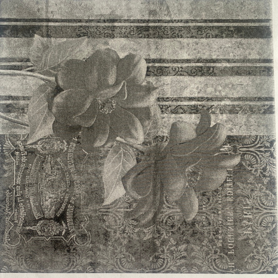 LAMINA PARA TRANSFERENCIA BLANCO Y NEGRO (20x25)
