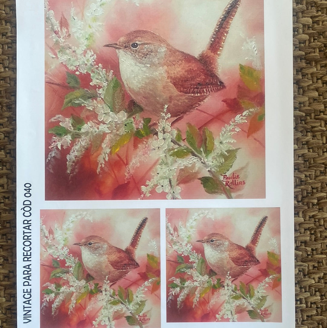 LAMINAS PARA DECOUPAGE 21 x 29 varios aves