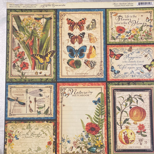 Lámina Graphic 45 Doble 30x30cm Scrapbooking USA - Nature Sketchbook