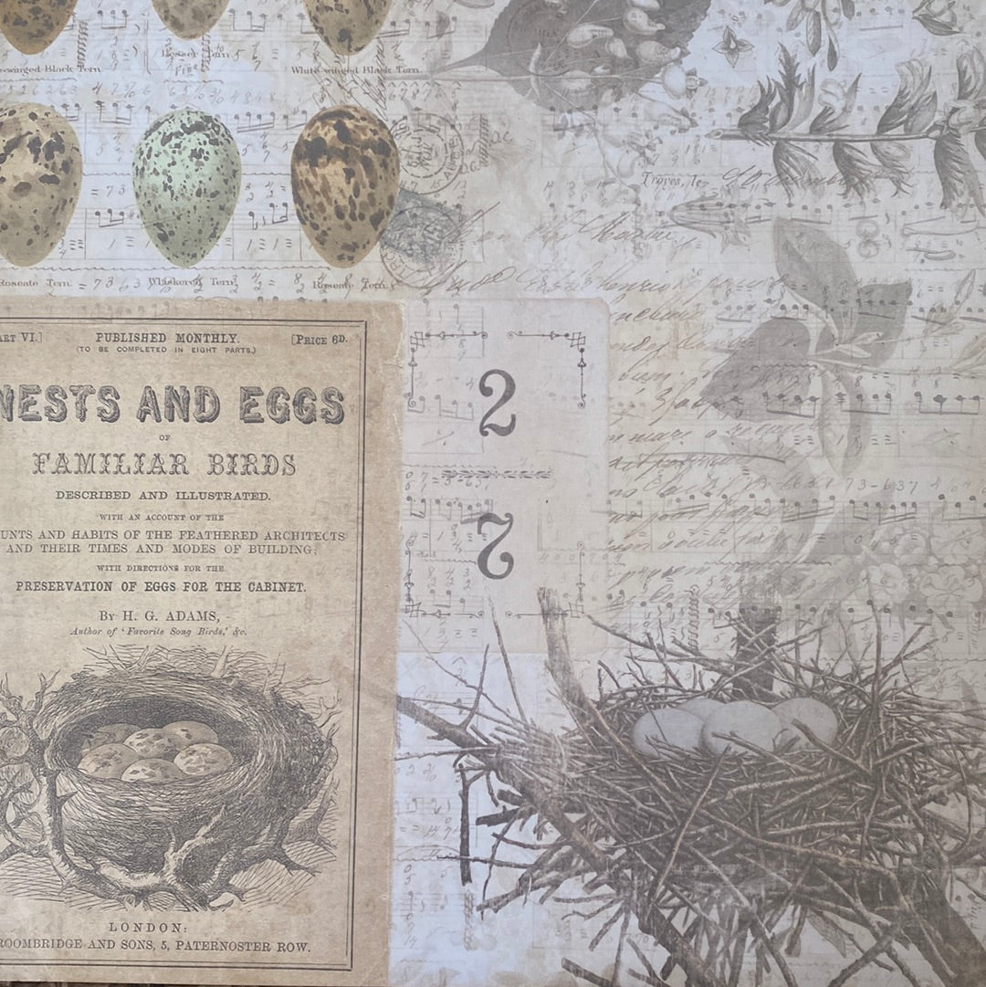 LAMINA- DECOSCRAPP-DECOUPAGE 30 x30 DOBLE CARA mixmedia pajaro