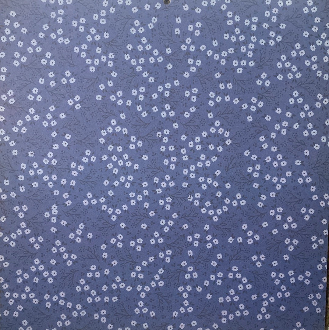 LAMINA DOBLE DECOSCRAPP-DECOUPAGE 30 x30 -VARIAS CON APLICACIONES-PERI & PEACH-PREMIUM