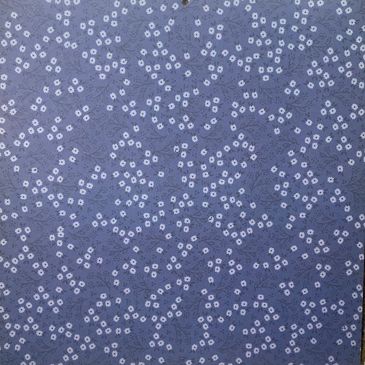 LAMINA DOBLE DECOSCRAPP-DECOUPAGE 30 x30 -VARIAS CON APLICACIONES-PERI & PEACH-PREMIUM