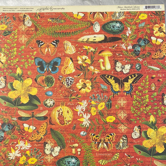Lámina Graphic 45 Doble 30x30cm Scrapbooking USA - Nature Sketchbook