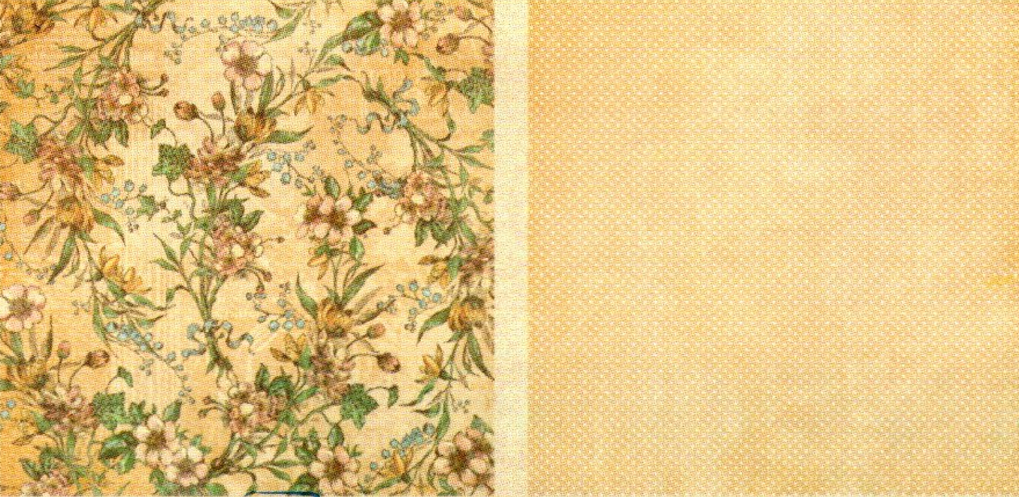 LAMINA Graphic 45 Doble 30x30cm Scrapbooking USA - A Ladies Diary 10