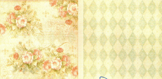 Lámina Graphic 45 Doble 30x30cm Scrapbooking USA - Baby 2 Bride 3