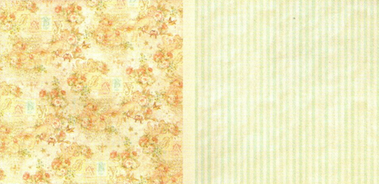 Lámina Graphic 45 Doble 30x30cm Scrapbooking USA - Baby 2 Bride 5