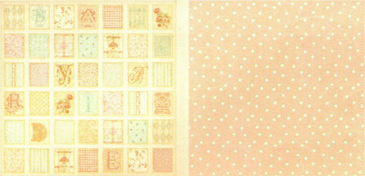 Lámina Graphic 45 Doble 30x30cm Scrapbooking USA - Baby 2 Bride 6