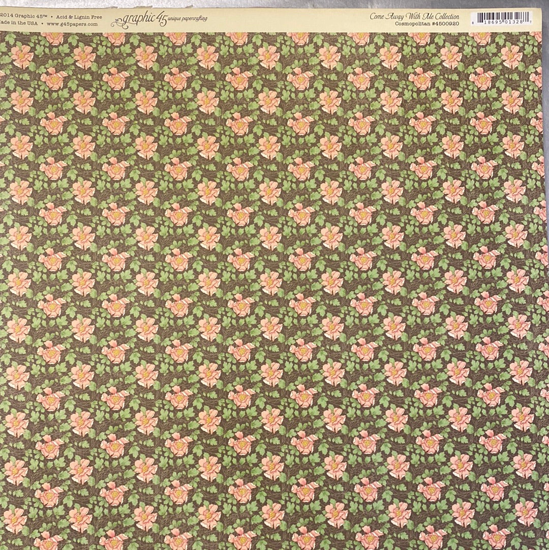 Lámina Graphic 45 Doble 30x30cm Scrapbooking USA - Come Away with me