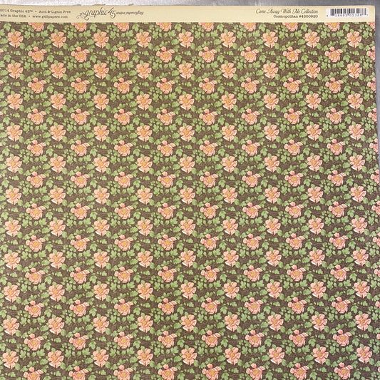 Lámina Graphic 45 Doble 30x30cm Scrapbooking USA - Come Away with me