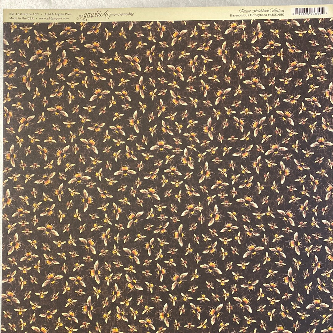 Lámina Graphic 45 Doble 30x30cm Scrapbooking USA - Nature Sketchbook
