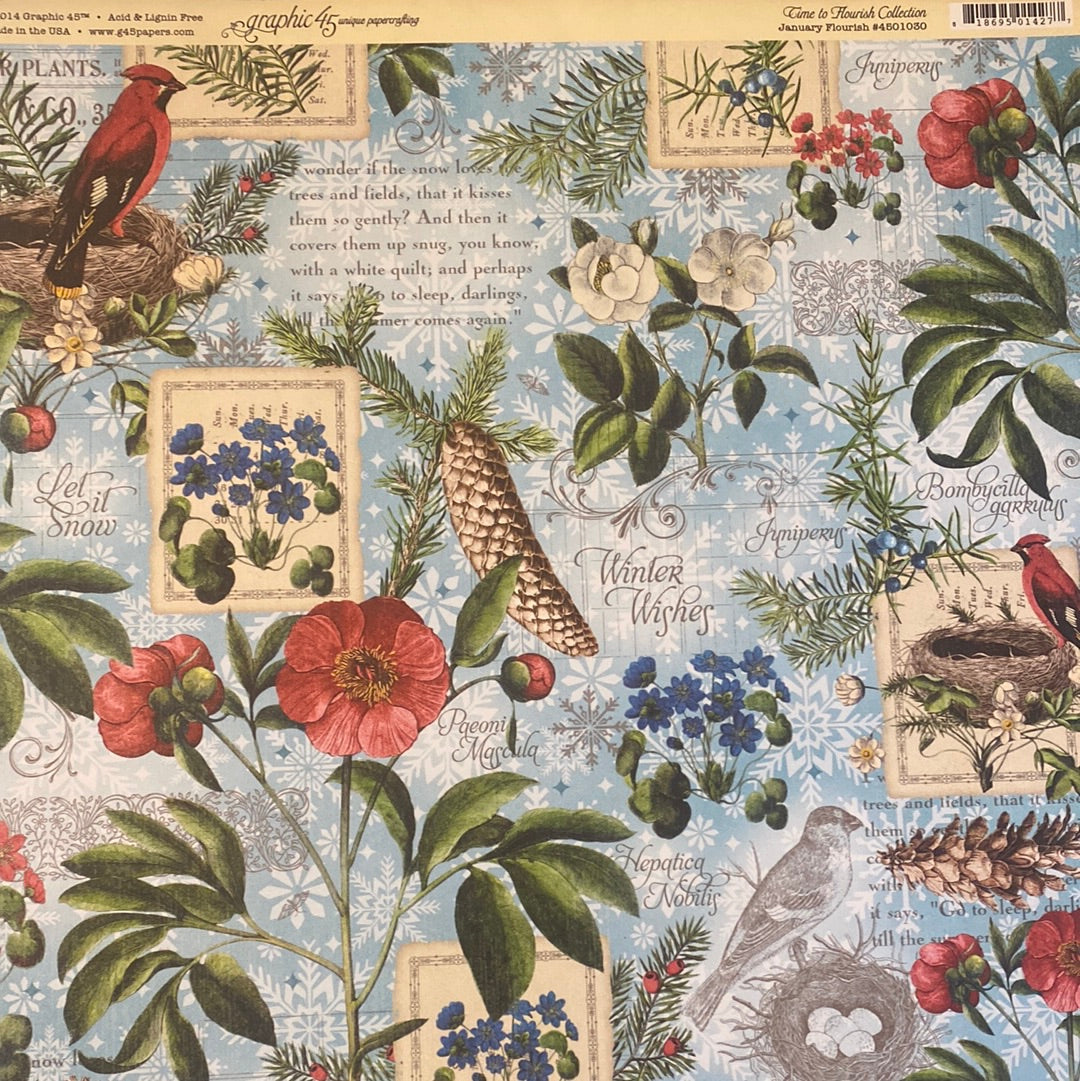 Lamina Graphic 45 Doble 30x30cm Scrapbooking USA - Time to Flourish 1