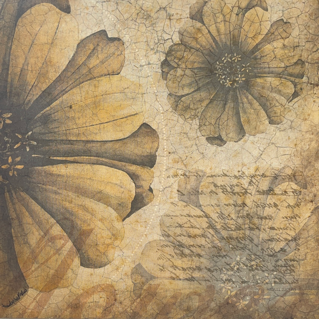 LAMINAS ML PARA DECOUPAGE ARGENTINAS