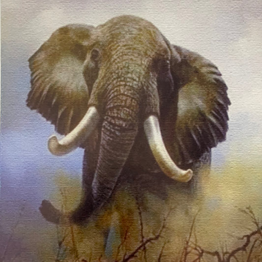 LÁMINA PARA DECOUPAGE- ETNICA 15X15