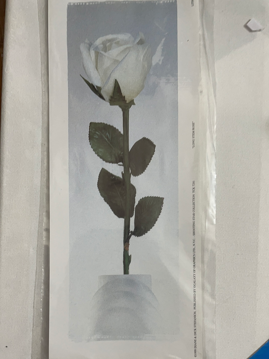 LÁMINA PARA DECOUPAGE 10X25