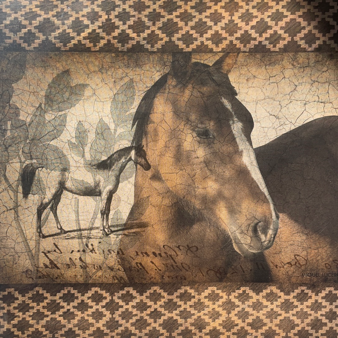 LAMINAS ML PARA DECOUPAGE ARGENTINAS