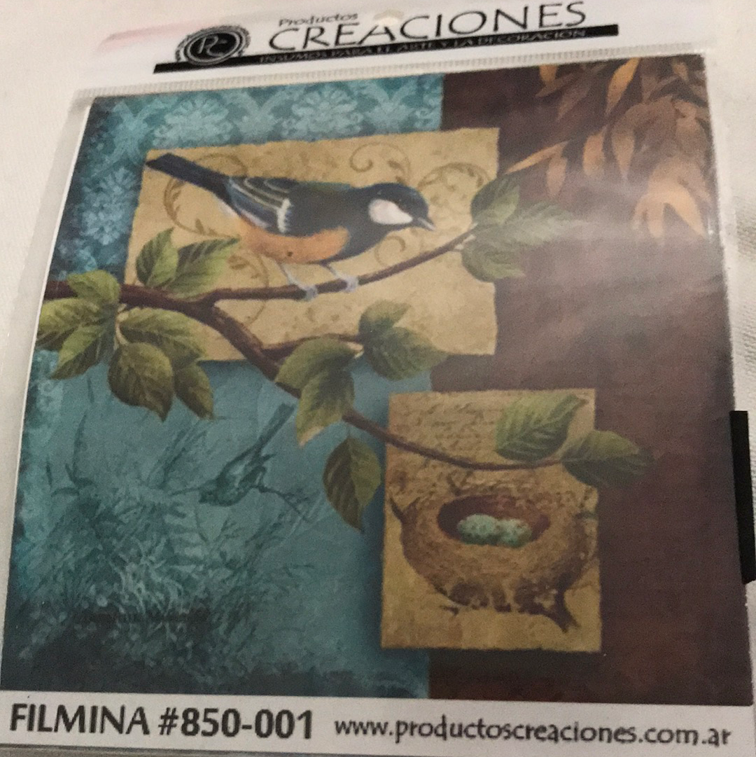 LAMINAS FILMINA O CRISTAL, n 01 medidas 14 x 14