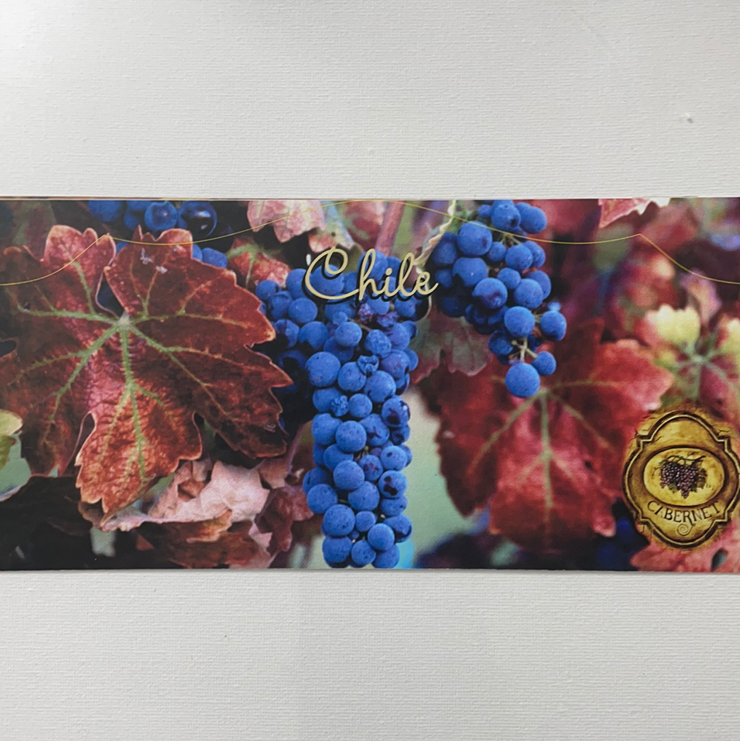 LÁMINA PARA DECOUPAGE 10X25