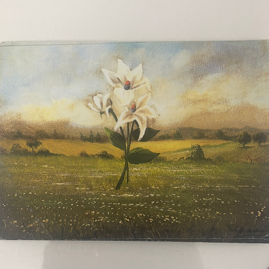 LÁMINA PARA DECOUPAGE 12X18