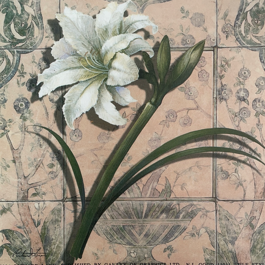 LÁMINA PARA DECOUPAGE- 15X15