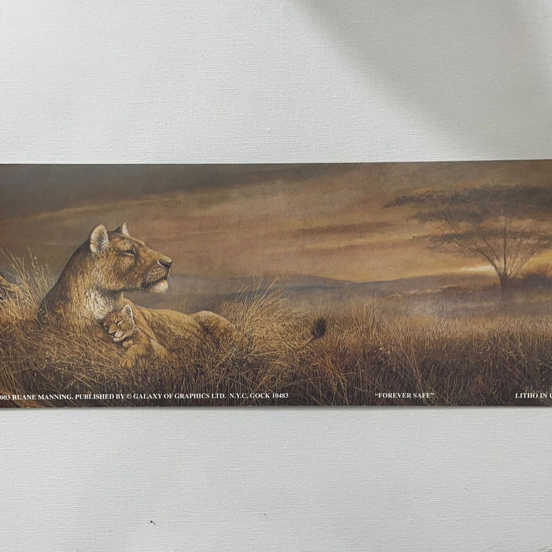 LÁMINA PARA DECOUPAGE 10X25