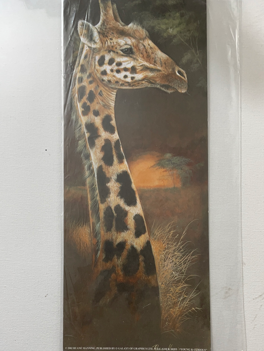 LÁMINA PARA DECOUPAGE 10X25