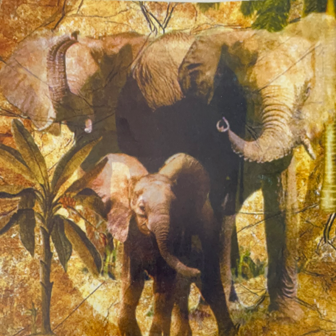 LÁMINA PARA DECOUPAGE- ETNICA 15X15