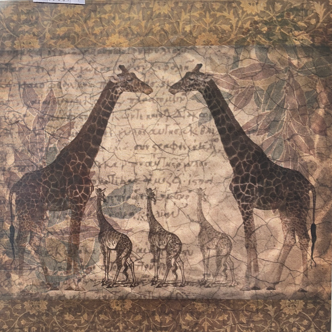 LAMINAS ML PARA DECOUPAGE ARGENTINAS