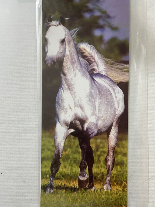 LÁMINA PARA DECOUPAGE 10X25