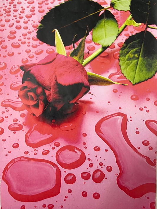 LÁMINA PARA DECOUPAGE 12X18