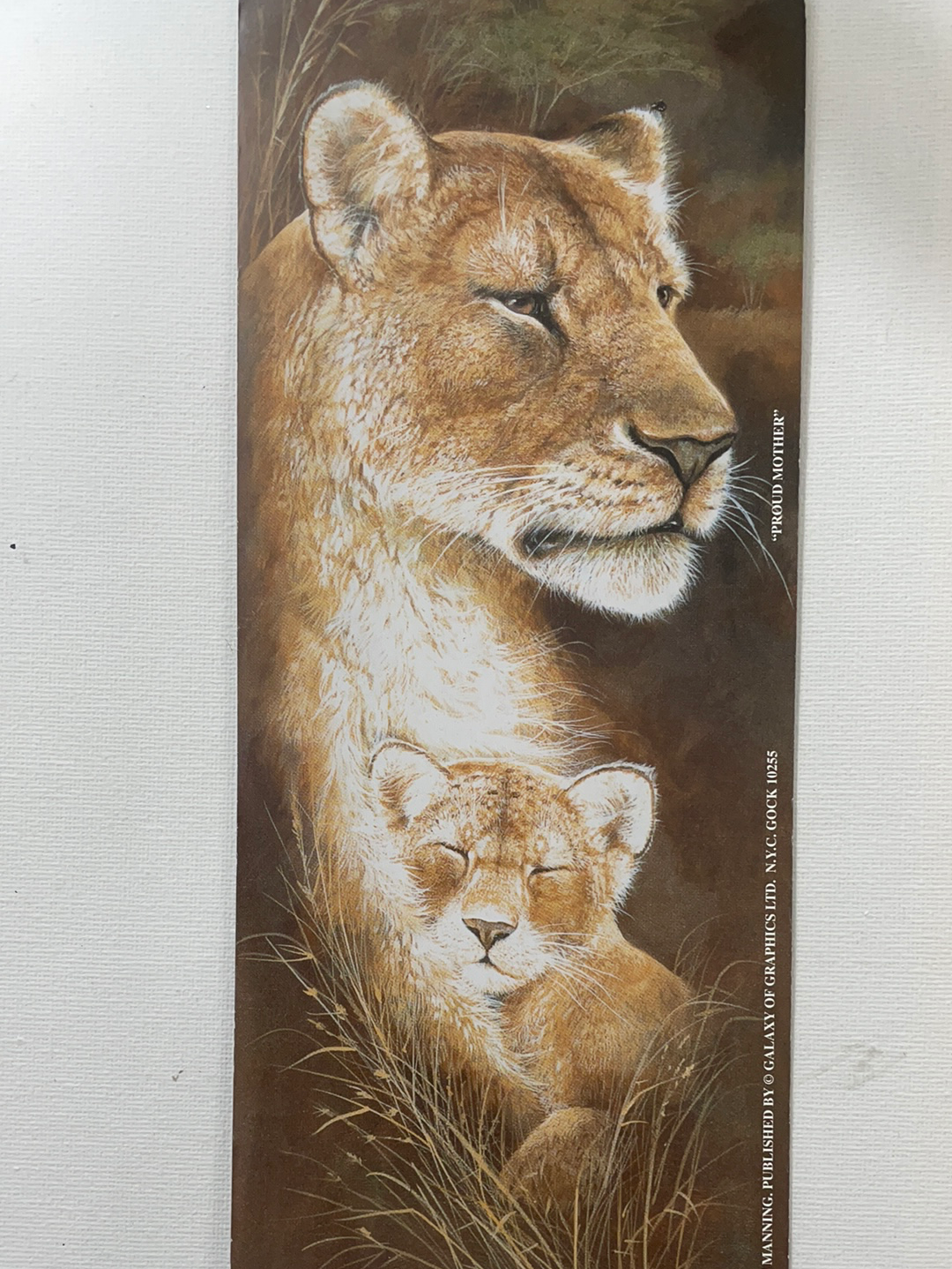 LÁMINA PARA DECOUPAGE 10X25