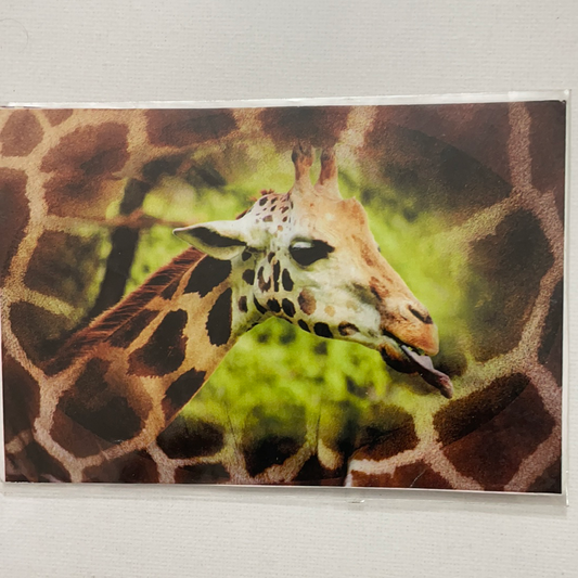 LÁMINA PARA DECOUPAGE 11x8