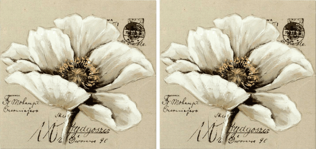 LAMINAS PARA SUBLIMAR 50 x 100 FLOR DOBLE ENSUEÑO DORADO ARGENTINAS