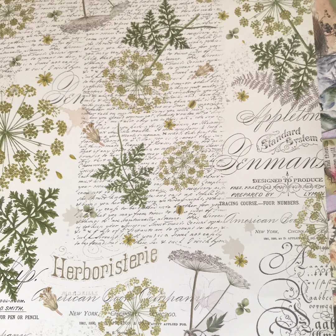 LAMINAS STAMPERIA DOBLES PARA SCRAP HERBARIUM. s