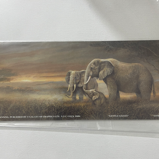 LÁMINA PARA DECOUPAGE 10X25