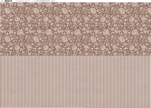 PAPEL DE SEDA 50 x 70  ARGENTINAS BASE 19