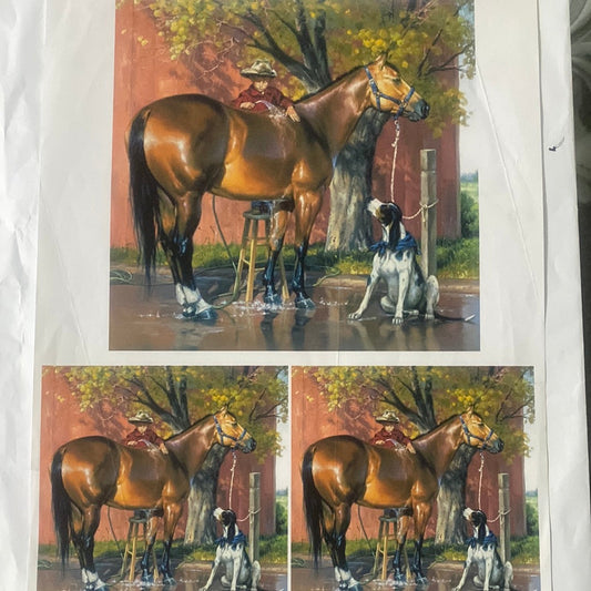 LAMINAS PARA TRANSFERENCIA (20x25) ANIMAL CABALLO
