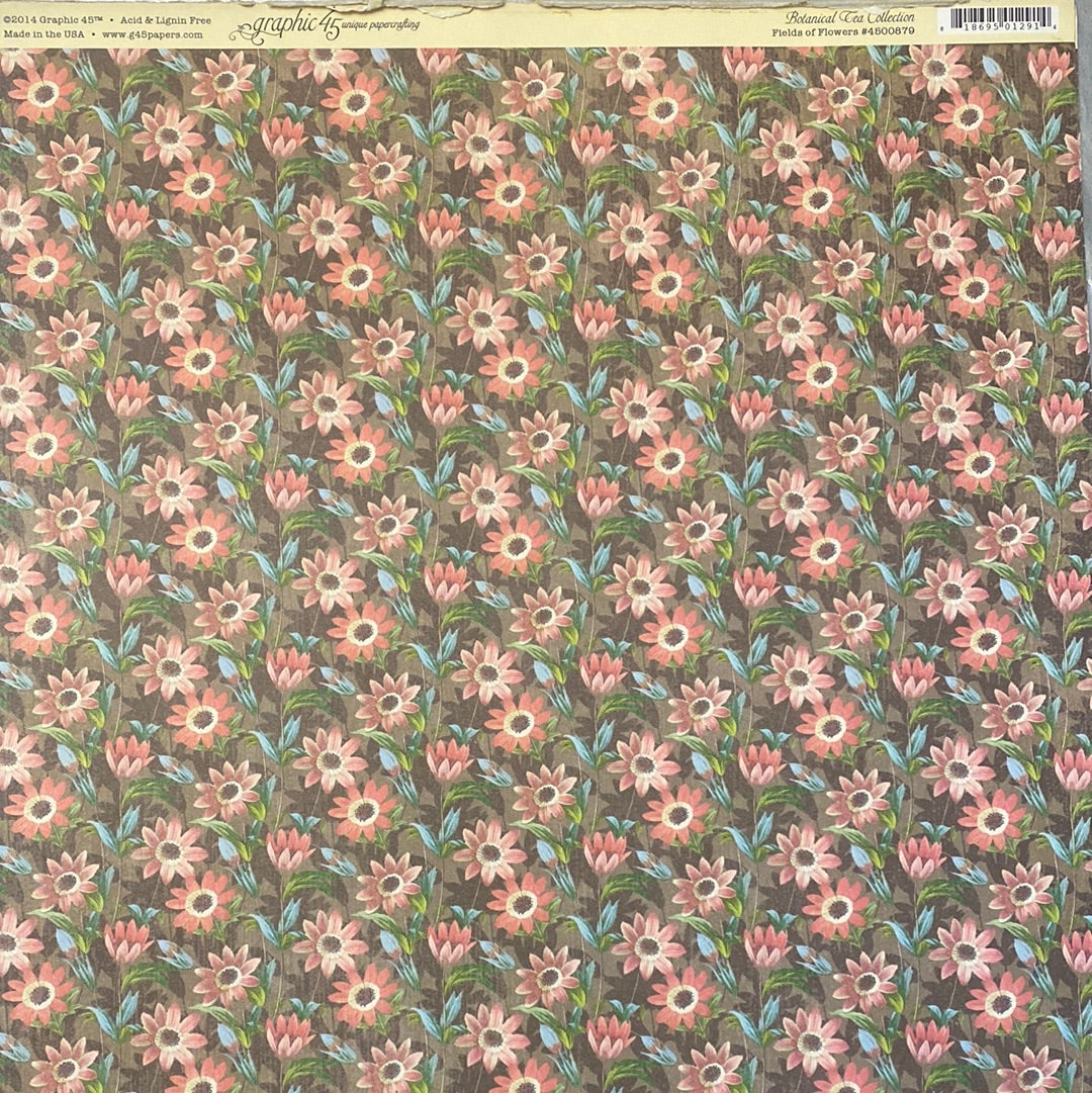 Lamina Graphic 45 Doble 30x30cm Scrapbooking USA - Botanical Tea collection