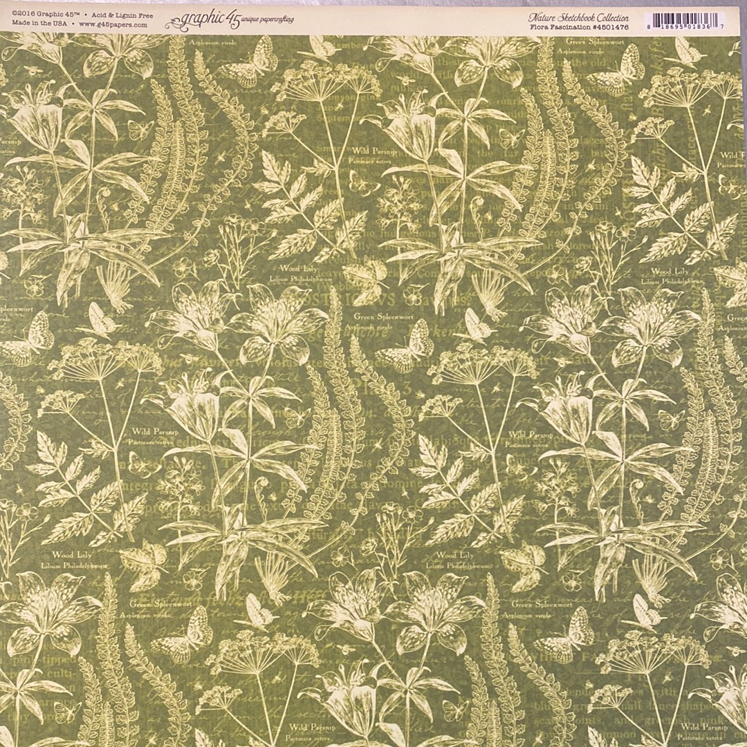 Lámina Graphic 45 Doble 30x30cm Scrapbooking USA - Nature Sketchbook