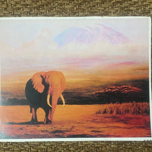 LAMINAS PARA DECOUPAGE   21x29 naturaleza elefante