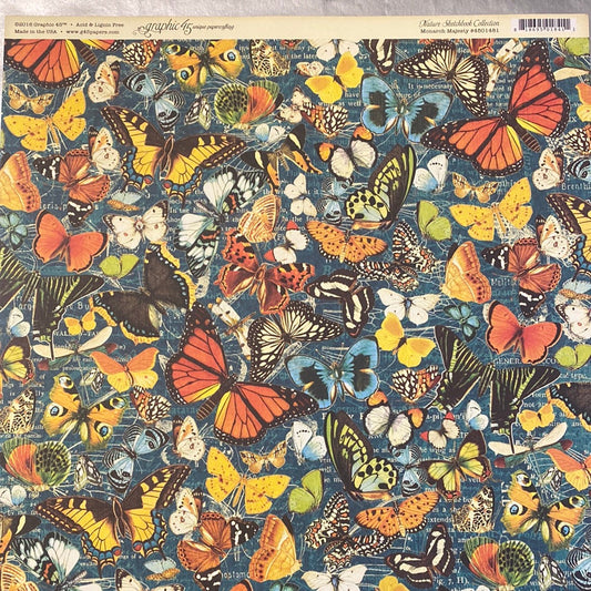 Lámina Graphic 45 Doble 30x30cm Scrapbooking USA - Nature Sketchbook