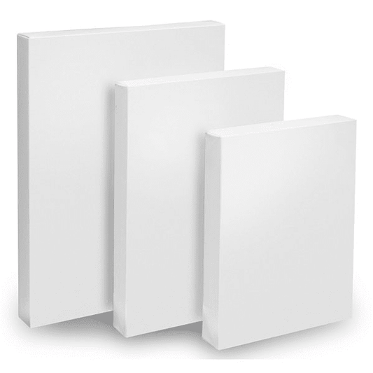 LIENZO TELA BASTIDOR CANVAS PARA PINTAR diferentes tamaños