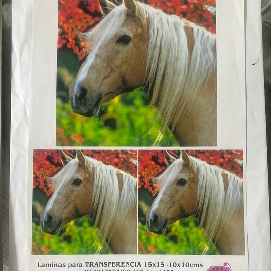 LAMINAS PARA TRANSFERENCIA (20x25) ANIMAL CABALLO