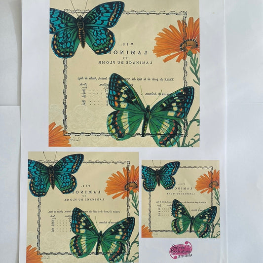 LAMINAS PARA TRANSFERENCIA (20x25) MARIPOSA